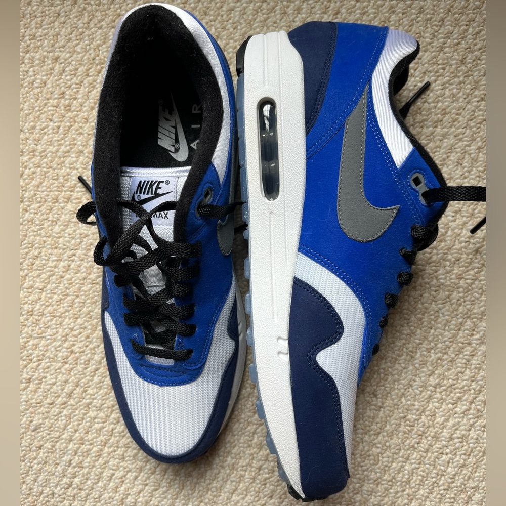 Blue Nike Air Max - Men’s